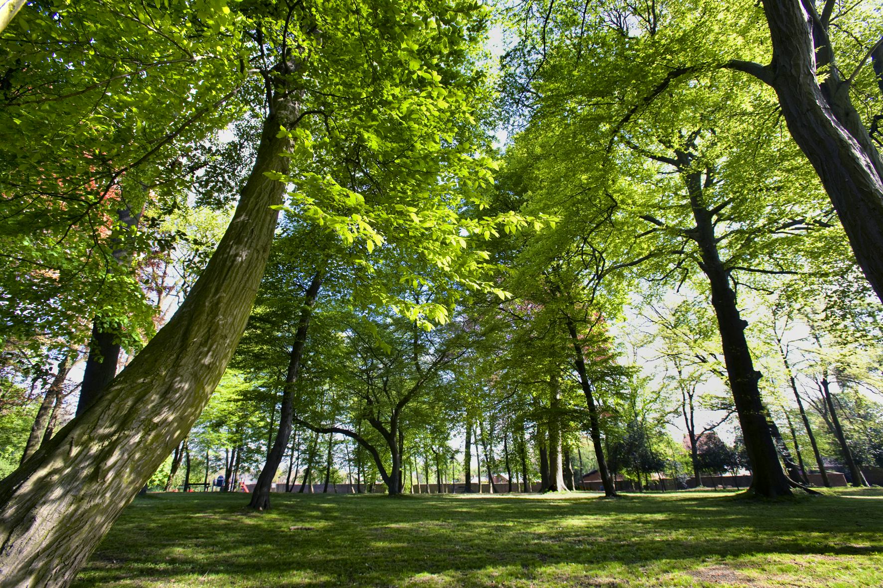 Parcs et jardins | Ville de Charleroi